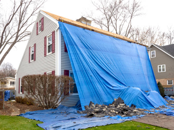 Best Carpet Removal and Disposal  in La Blanca, TX